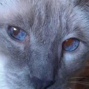 Meet your Posher, Diane